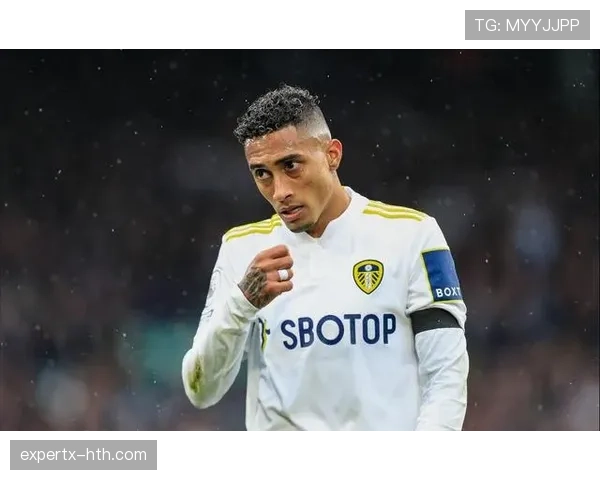 拉菲尼亚：从黑马到豪门的跃迁解析